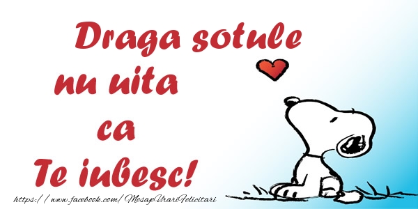 Felicitari de dragoste pentru Sot - Draga sotule nu uita ca Te iubesc!
