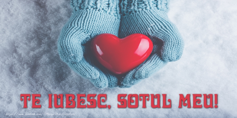 Felicitari de dragoste pentru Sot - TE IUBESC, sotul meu!