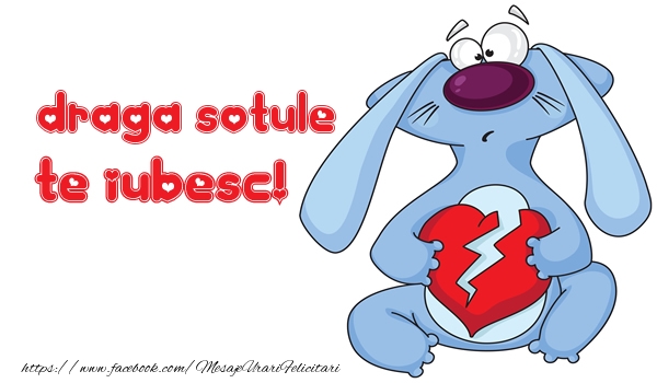 Felicitari de dragoste pentru Sot - Te iubesc draga sotule!