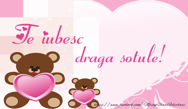 Felicitari de dragoste pentru Sot - Te iubesc draga sotule!