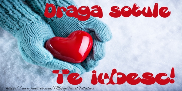 Felicitari de dragoste pentru Sot - Draga sotule Te iubesc!