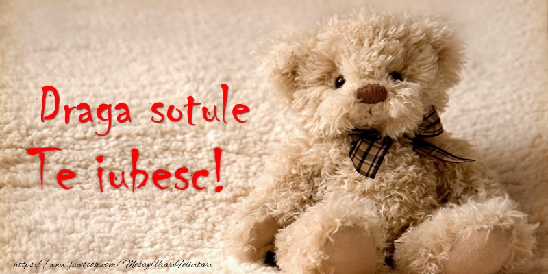 Felicitari de dragoste pentru Sot - Draga sotule Te iubesc!