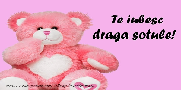 Felicitari de dragoste pentru Sot - Te iubesc draga sotule!
