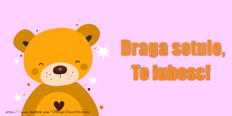 Felicitari de dragoste pentru Sot - Draga sotule Te iubesc!