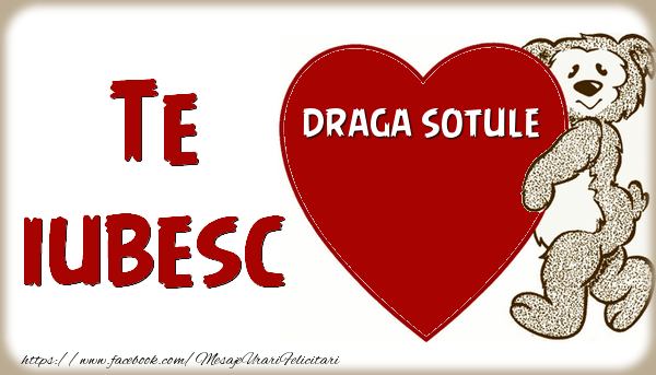 Felicitari de dragoste pentru Sot - Te iubesc  draga sotule