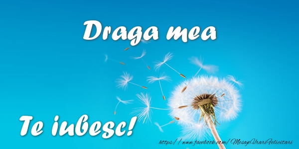 Felicitari de dragoste pentru Sotie - Draga mea Te iubesc!