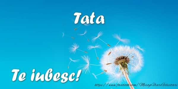 Felicitari de dragoste pentru Tata - Draga tata Te iubesc!