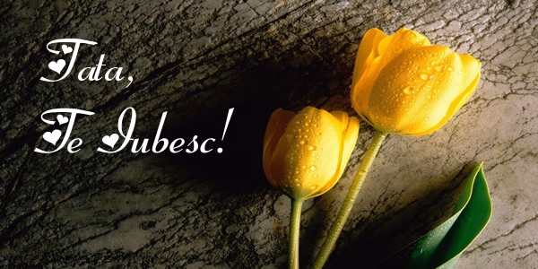 Felicitari de dragoste pentru Tata - Draga tata, Te iubesc!