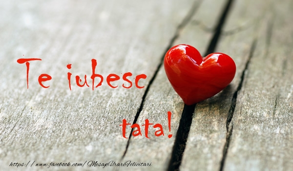 Felicitari de dragoste pentru Tata - Te iubesc tata!