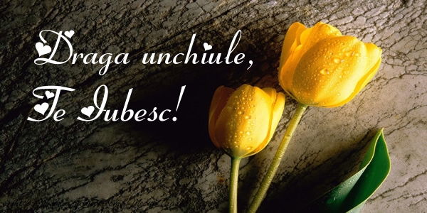 Felicitari de dragoste pentru Unchi - Draga unchiule, Te iubesc!