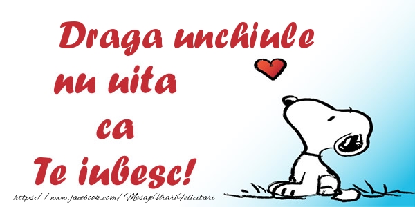 Felicitari de dragoste pentru Unchi - Draga unchiule nu uita ca Te iubesc!