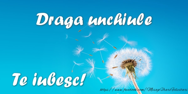 Felicitari de dragoste pentru Unchi - Draga unchiule Te iubesc!