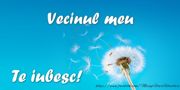 Felicitari de dragoste pentru Vecin - Vecinul meu Te iubesc!