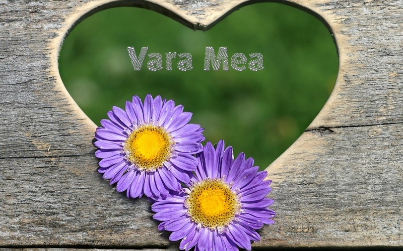 Felicitari de dragoste pentru Verisoara - Vara mea