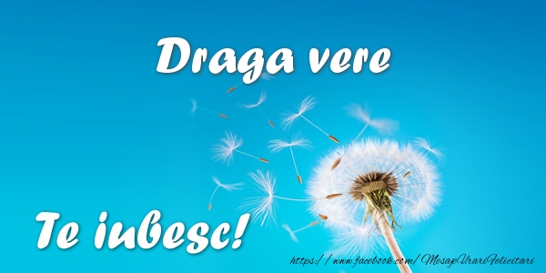 Felicitari de dragoste pentru Verisor - Draga vere Te iubesc!