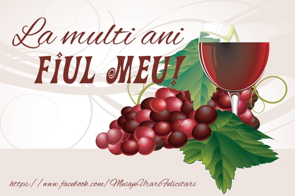 Felicitari de la multi ani pentru Baiat - La multi ani fiul meu!