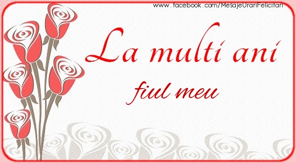 Felicitari de la multi ani pentru Baiat - La multi ani fiul meu