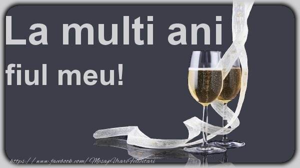 Felicitari de la multi ani pentru Baiat - La multi ani fiul meu!