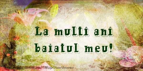 Felicitari de la multi ani pentru Baiat - La multi ani baiatul meu!