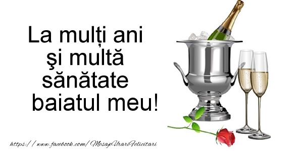 Felicitari de la multi ani pentru Baiat - La multi ani si multa sanatate fiul meu!