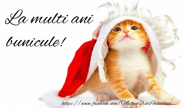 Felicitari de la multi ani pentru Bunic - La multi ani bunicule!