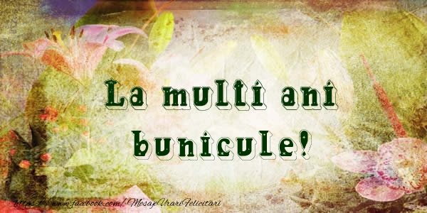 Felicitari de la multi ani pentru Bunic - La multi ani bunicule!