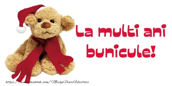 Felicitari de la multi ani pentru Bunic - La multi ani bunicule!