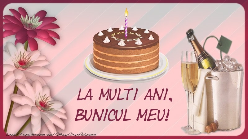 Felicitari de la multi ani pentru Bunic - La multi ani, bunicul meu!