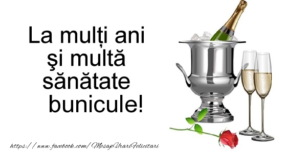 La multi ani La multi ani si multa sanatate bunicule!