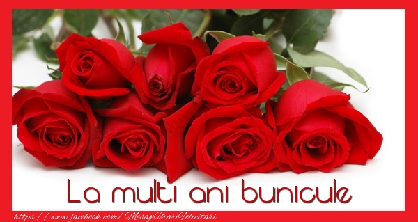 Felicitari de la multi ani pentru Bunic - La multi ani bunicule