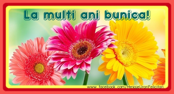 Felicitari de la multi ani pentru Bunica - La multi ani bunica!