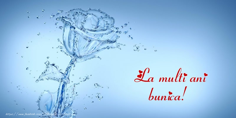 Felicitari de la multi ani pentru Bunica - La multi ani bunica!