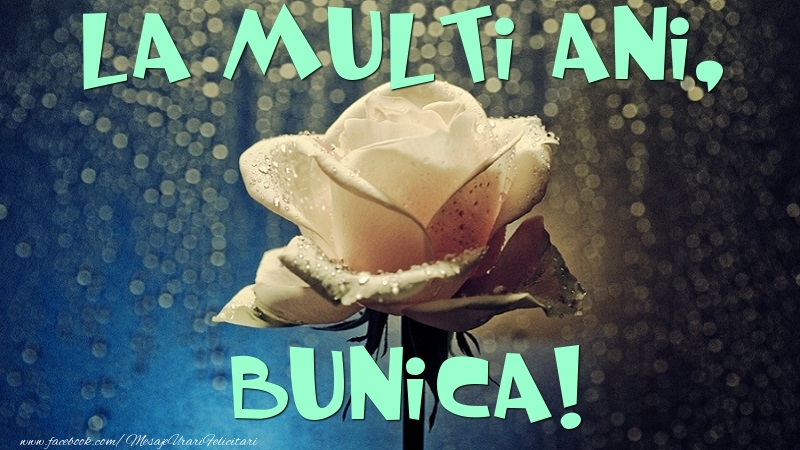 Felicitari de la multi ani pentru Bunica - La multi ani, bunica