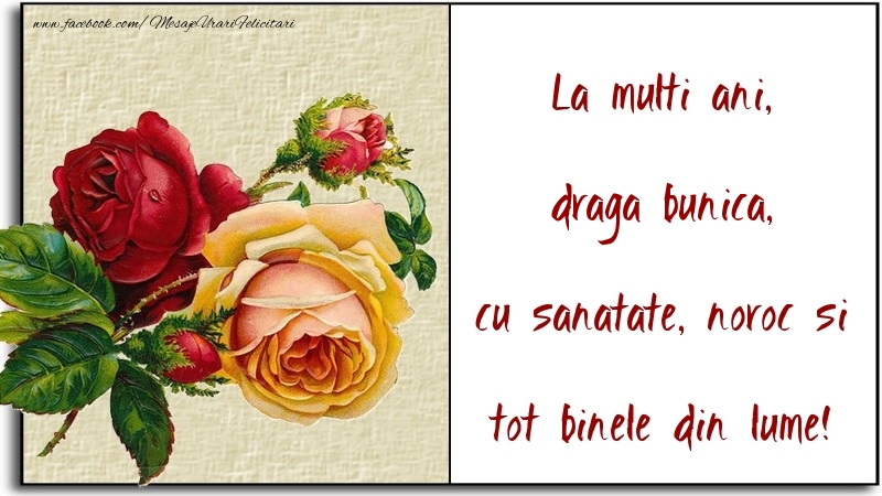 Felicitari de la multi ani pentru Bunica - La multi ani, cu sanatate, noroc si tot binele din lume! draga bunica