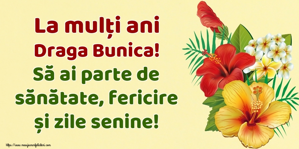 Felicitari de la multi ani pentru Bunica - La mulți ani draga bunica! Să ai parte de sănătate, fericire și zile senine!