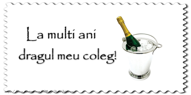 Felicitari de la multi ani pentru Coleg - La multi ani dragul meu coleg!