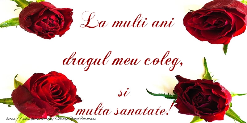 Felicitari de la multi ani pentru Coleg - La multi ani! dragul meu coleg Sanatate multa!