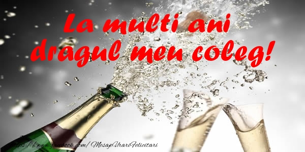 Felicitari de la multi ani pentru Coleg - La multi ani dragul meu coleg!