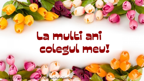 Felicitari de la multi ani pentru Coleg - La multi ani colegul meu!