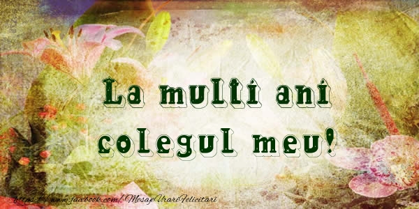 Felicitari de la multi ani pentru Coleg - La multi ani colegul meu!