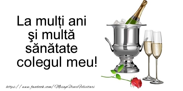 Felicitari de la multi ani pentru Coleg - La multi ani si multa sanatate colegul meu!