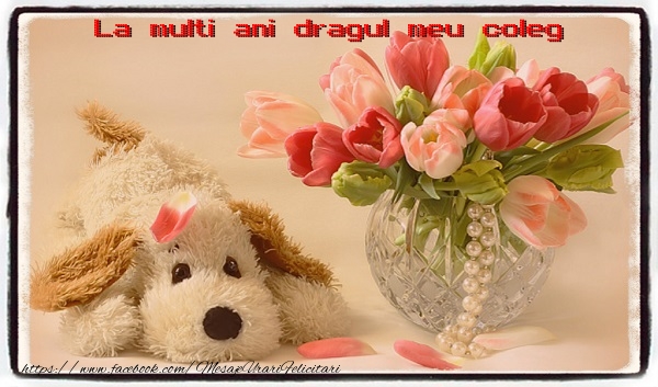 Felicitari de la multi ani pentru Coleg - La multi ani dragul meu coleg