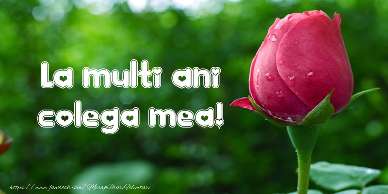 Felicitari de la multi ani pentru Colega - La multi ani colega mea!