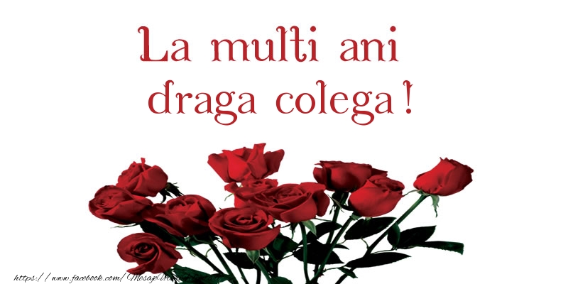Felicitari de la multi ani pentru Colega - La multi ani draga colega!