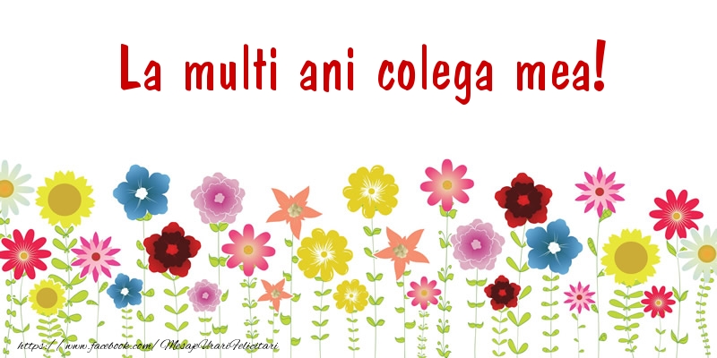 Felicitari de la multi ani pentru Colega - La multi ani colega mea!