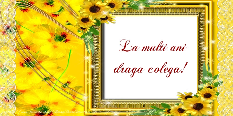 Felicitari de la multi ani pentru Colega - La multi ani draga colega!