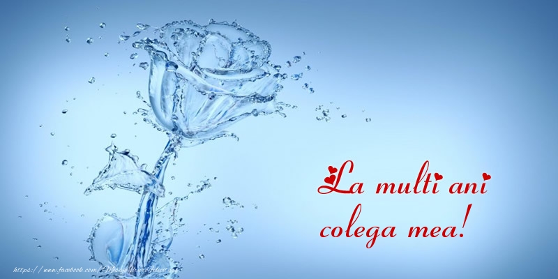 Felicitari de la multi ani pentru Colega - La multi ani colega mea!
