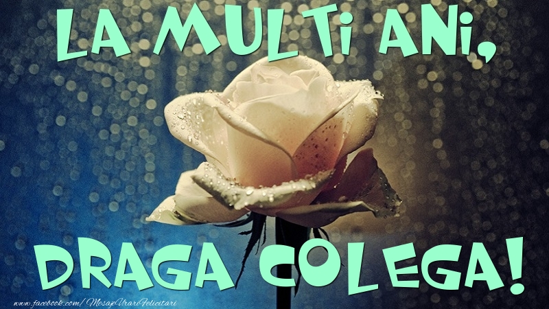 Felicitari de la multi ani pentru Colega - La multi ani, draga colega
