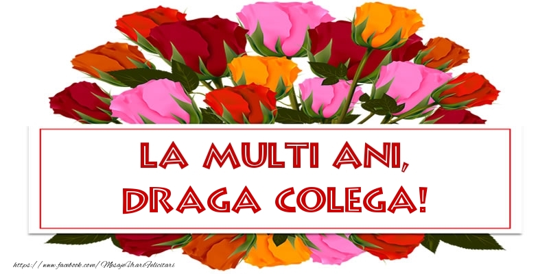 Felicitari de la multi ani pentru Colega - La multi ani, draga colega!