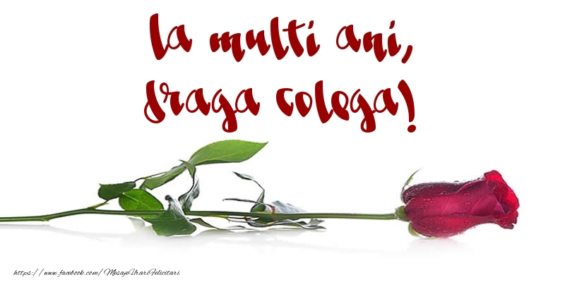 Felicitari de la multi ani pentru Colega - La multi ani, draga colega!